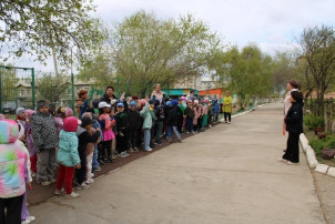 Соревнования по скиппингу Соревнования по скиппингу.